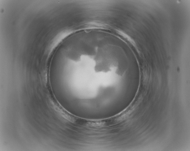 X0000066521415200603201312