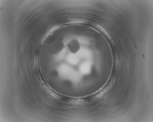 X0000066521417200603201312