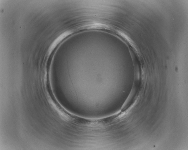 X0000066521418200603201312