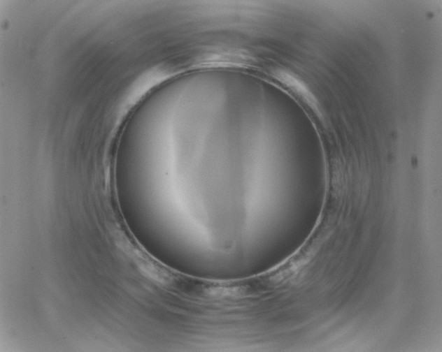 X0000066521419200603201312