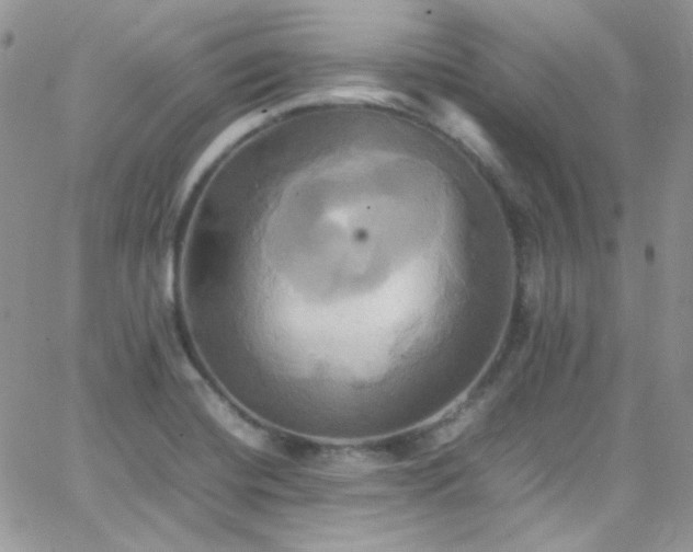 X0000066521420200603201312