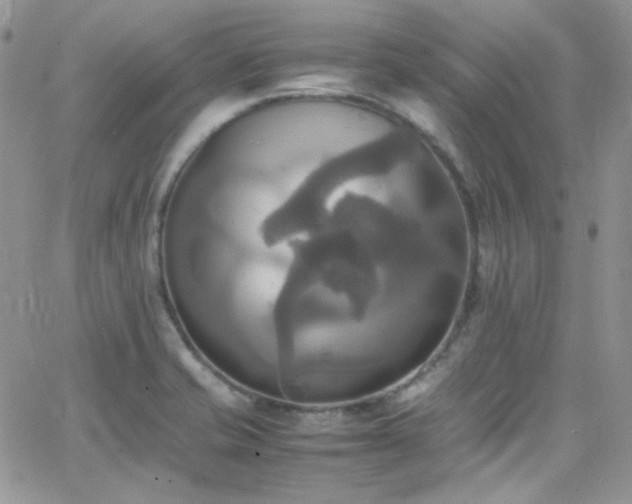 X0000066521421200603201312