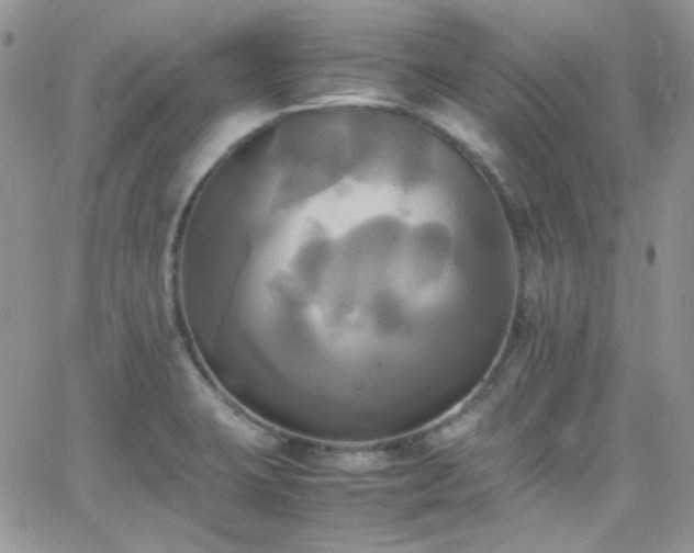 X0000066521423200603201312