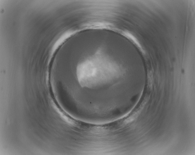 X0000066521424200603201312