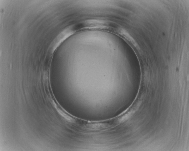 X0000066521425200603201312