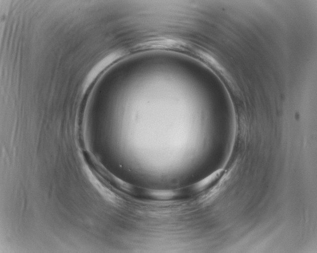 X0000066521426200603201312