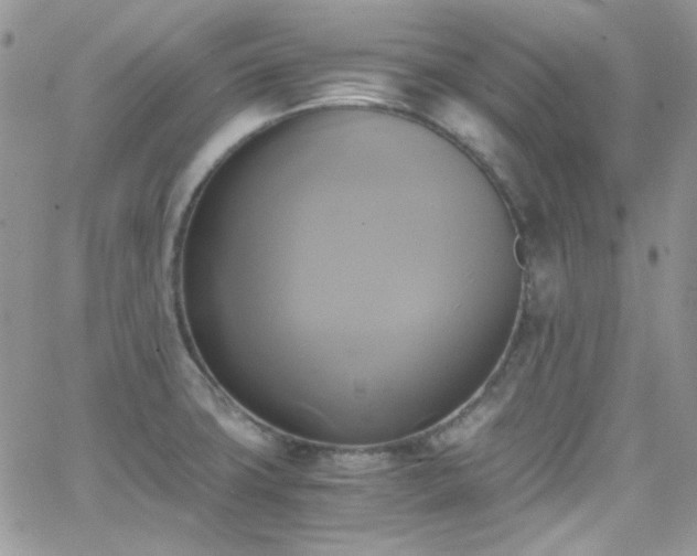 X0000066521427200603201312