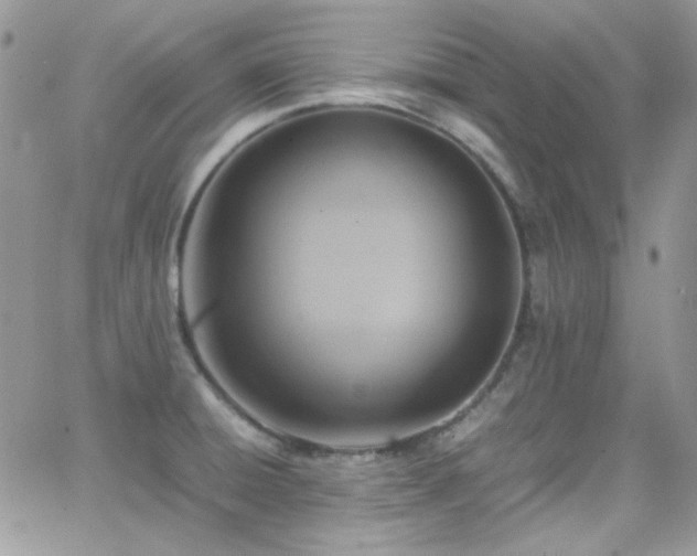 X0000066521428200603201312