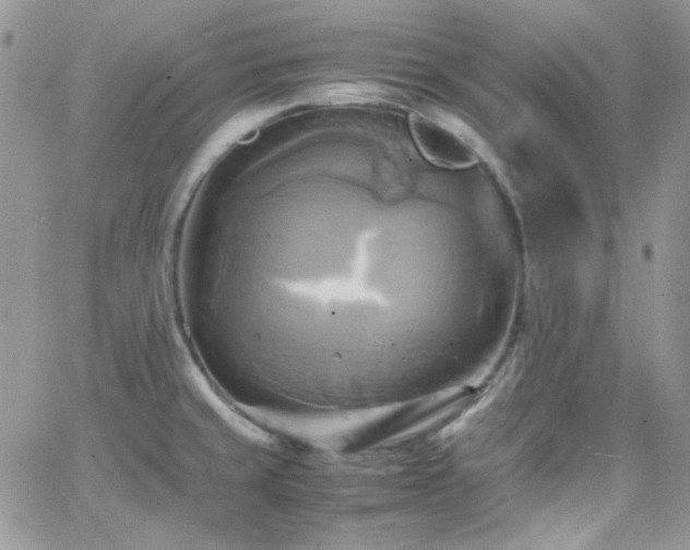 X0000066521429200603201312