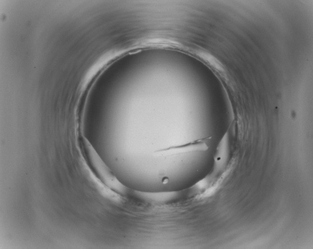 X0000066521430200603201312