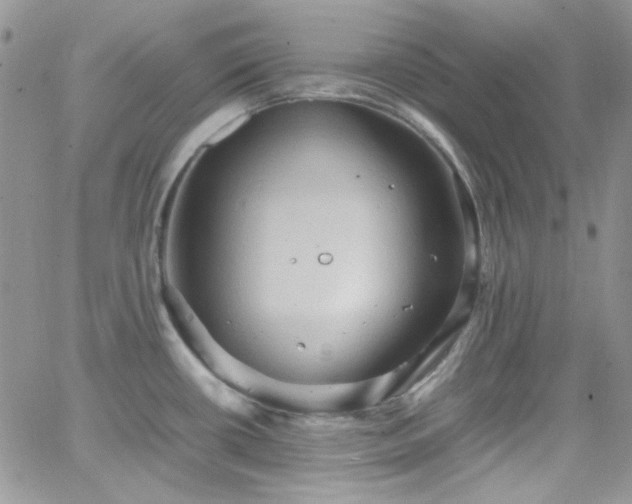 X0000066521434200603201312