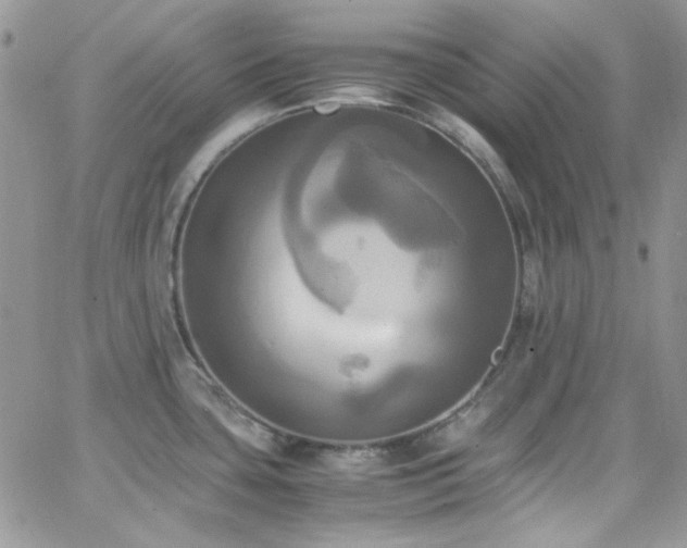 X0000066521435200603201312