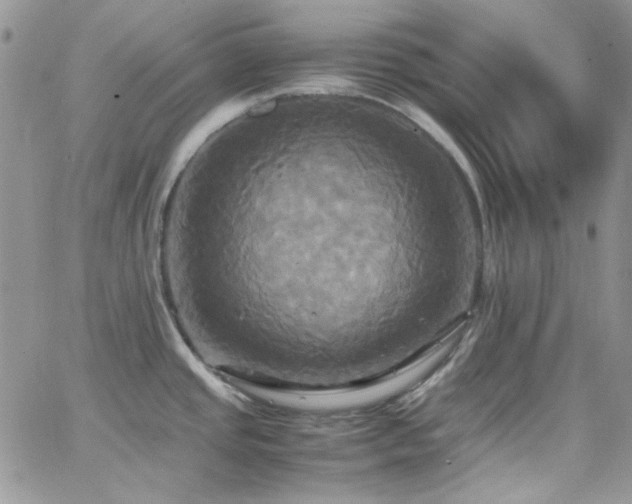 X0000066521437200603201312