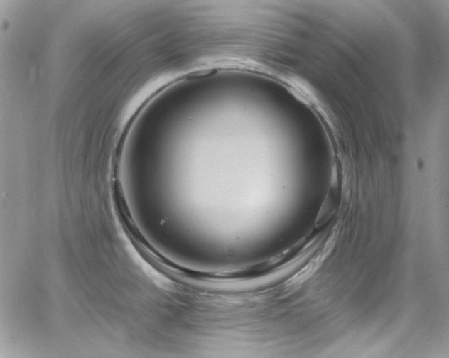 X0000066521438200603201312