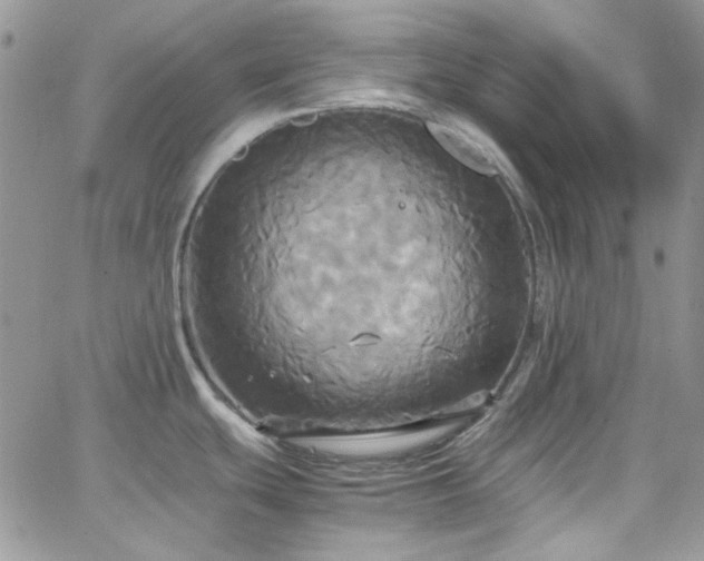 X0000066521439200603201312