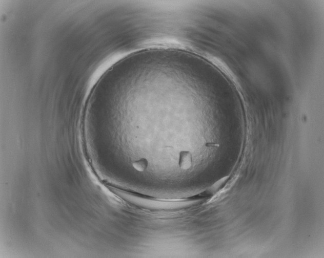 X0000066521440200603201312