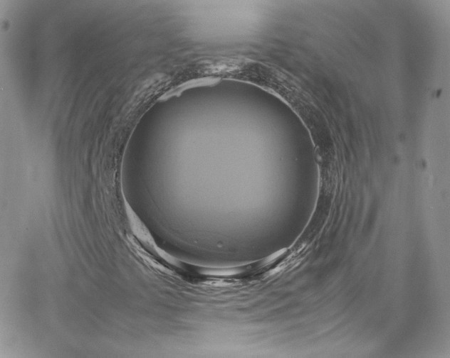 X0000066521441200603201311