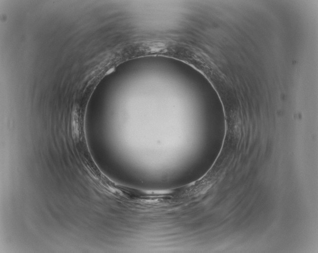 X0000066521442200603201311