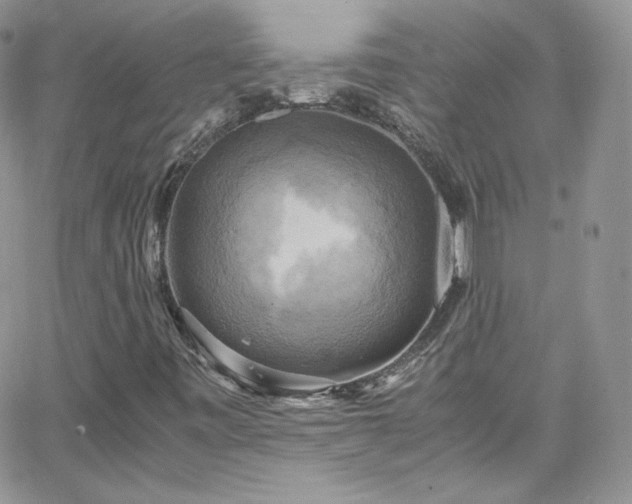 X0000066521443200603201311