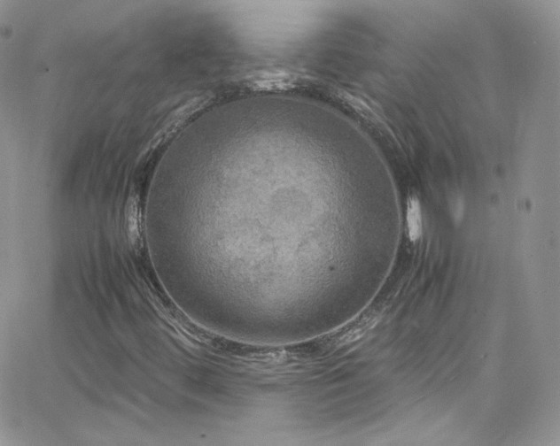 X0000066521444200603201311