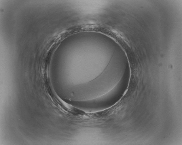 X0000066521445200603201311