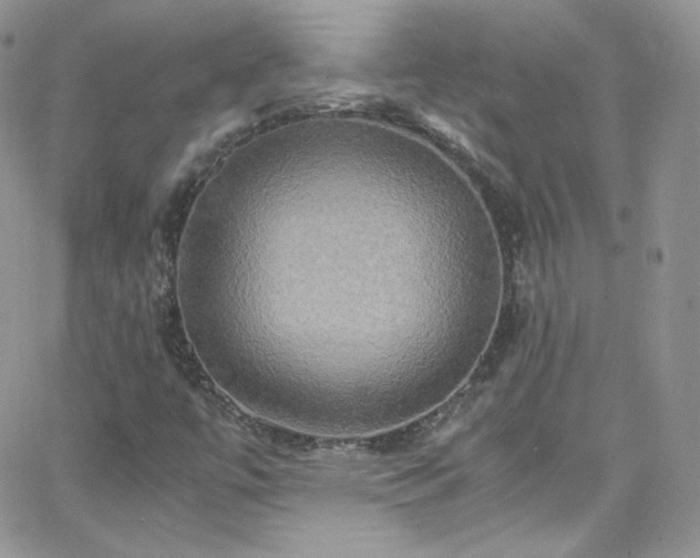 X0000066521447200603201311