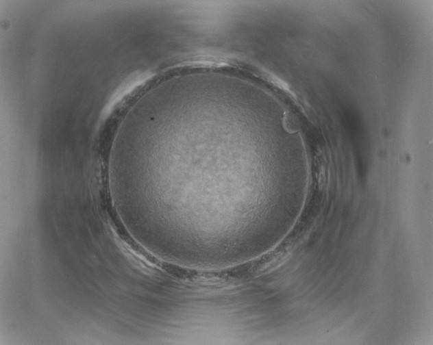 X0000066521448200603201311