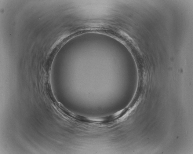 X0000066521449200603201311