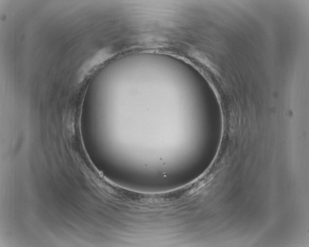 X0000066521451200603201311