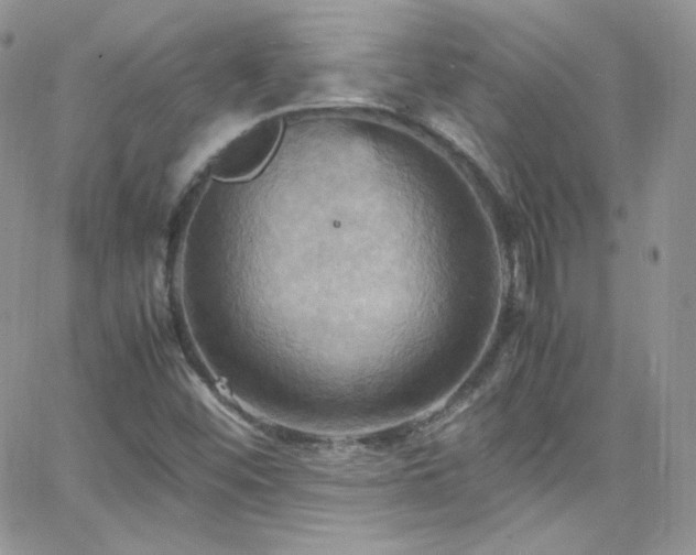 X0000066521452200603201311