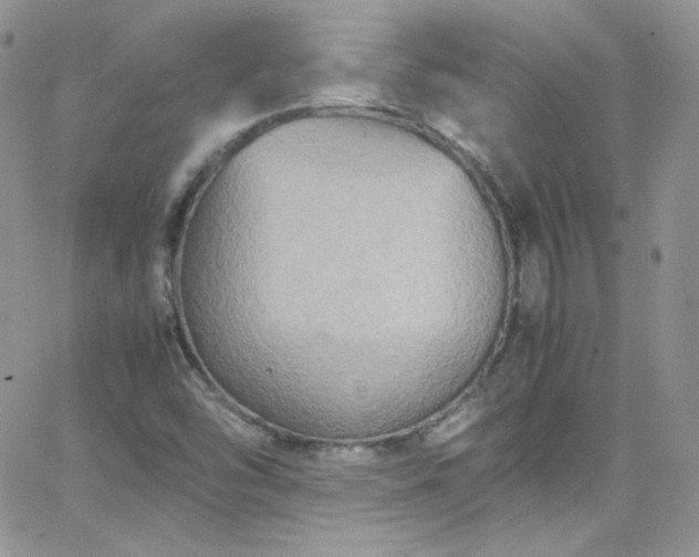 X0000066521454200603201311