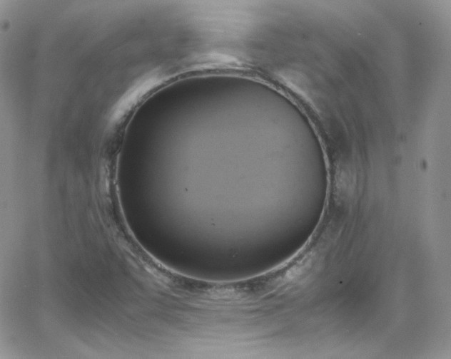 X0000066521455200603201311