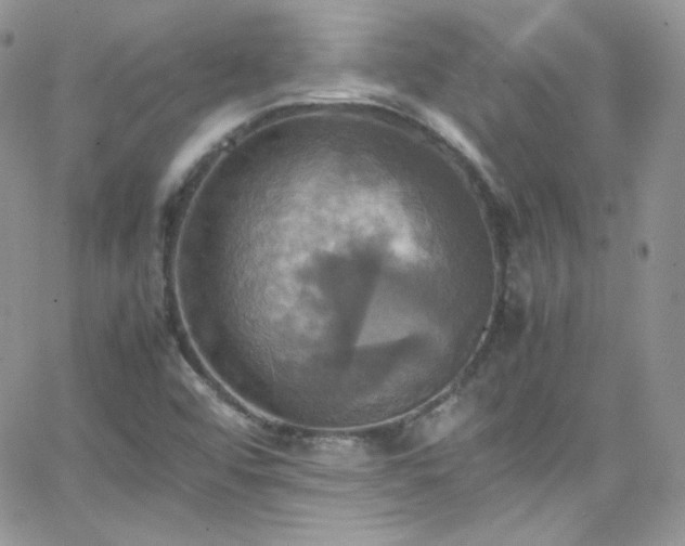 X0000066521456200603201311