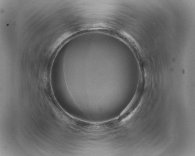 X0000066521457200603201311