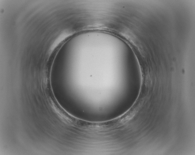 X0000066521458200603201311