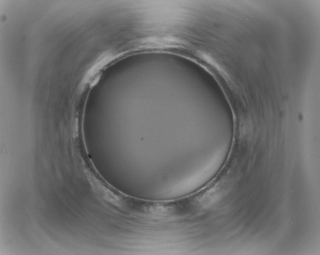 X0000066521459200603201311