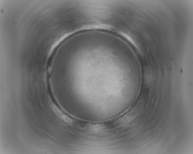 X0000066521460200603201311