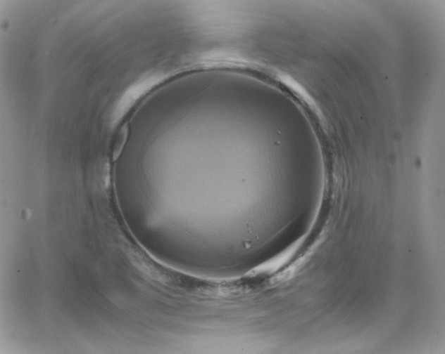 X0000066521461200603201311