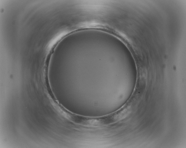 X0000066521463200603201311