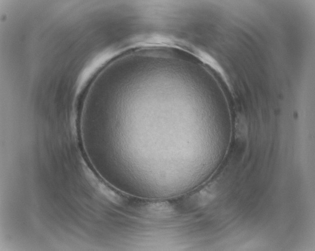 X0000066521464200603201311