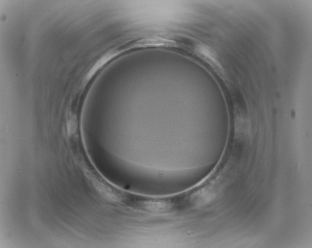 X0000066521465200603201311