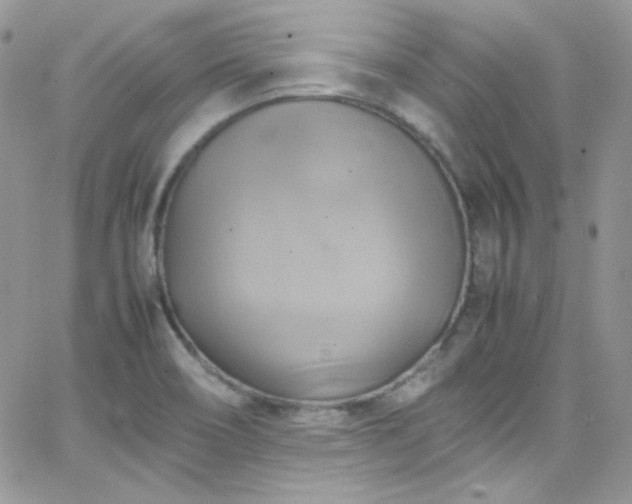 X0000066521466200603201311