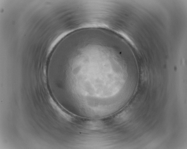 X0000066521468200603201311