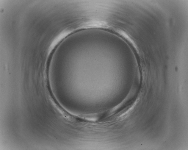 X0000066521469200603201311