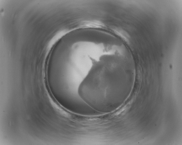 X0000066521471200603201311