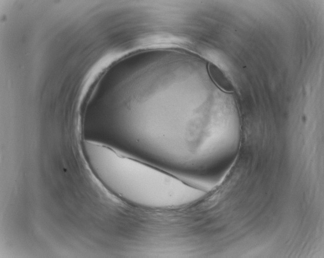 X0000066521472200603201311