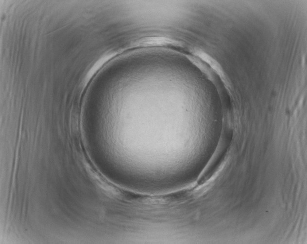 X0000066521473200603201311