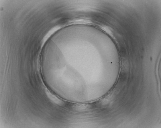 X0000066521474200603201311