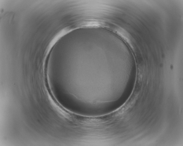 X0000066521475200603201311