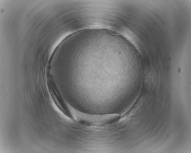 X0000066521476200603201311